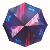 parasol1