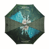 parasol2