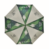 parasol3